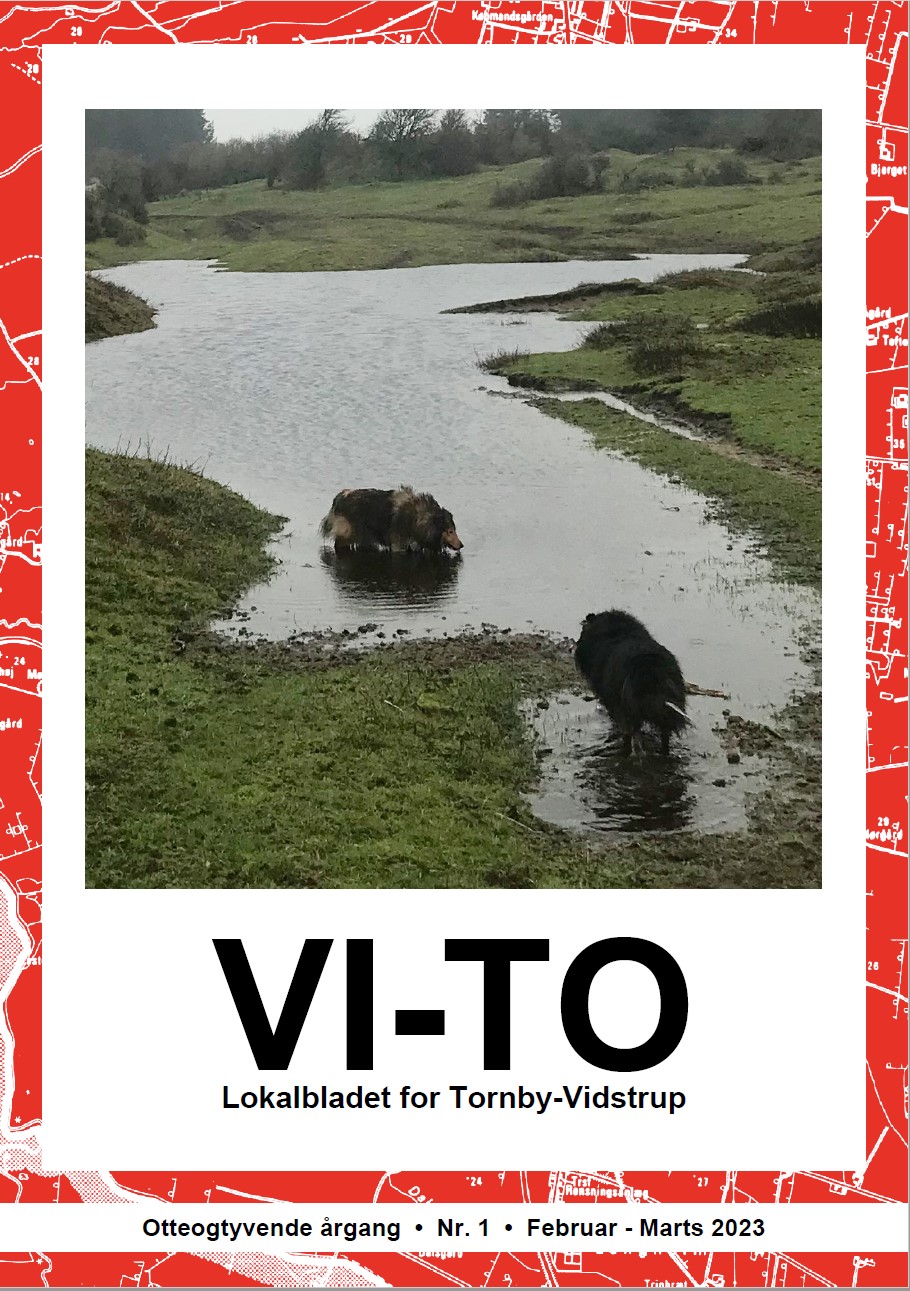 Hent bladet som PDF
