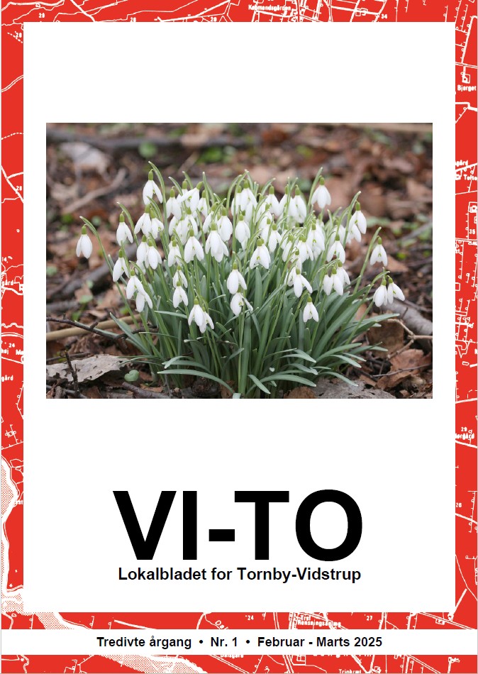 Hent bladet som PDF